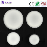 12W-30W LED Ceiling Light with LED Wall Light