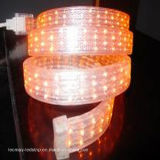 CE&RoHS Approved LED Rope Light for Outdoor Decorative