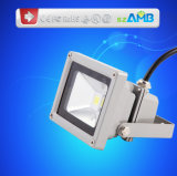 LED Outdoor Light with 125-135lm/W