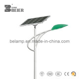 8m 60W CE High Quality Solar LED Street Light