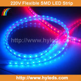 High Voltage Waterproof Flexible SMD LED Strip Light (HY-HV3825-50-B)