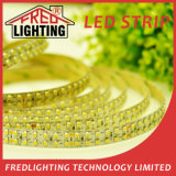 240LEDs/M SMD3528 19.2W/M LED Strip Light