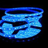 SMD 5050 Flexible LED Strip with 30 LEDs Per Meter (blue light)