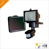 3W Solar Garden Street Light with LED for Outdoor Lighting (Motion Sensor)
