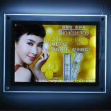 LED Window Display LED Real Estate Light Box with Double Side Picture Frame Advertising Display