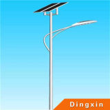 8m 40W LED Street Light with Coc Certificate