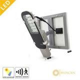12W Outdoor Solar LED Garden/Street Lights with CE RoHS