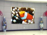 2015 Hot Sales Indoor Outdoor LED Display From Shenzhen China
