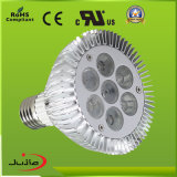 CE RoHS Approved LED PAR30 Manufacturer