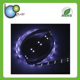 High Quality Wholesale 12V LED Strip Light