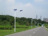 8m 60W LED Lamp Solar Street Light for Public