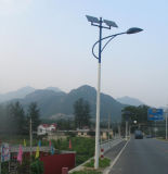 80W LED Solar Street Light with Two Panels