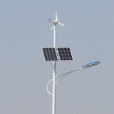 30W Energy-Saving Wind Hybrid Solar Street LED Light (S-C20158130)
