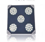 15W5 High Power LED Explosion-Proof Light