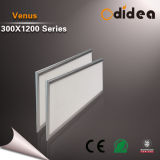 48W 300X1200mm 4800lm LED Panel Light Czpl48006