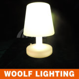 Design Small Color Changed LED Table Lamps