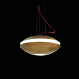 LED Pendant Lamp, LED Pendant Light, LED Lighting (HS30091D)
