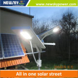 Newsky Power 40W Integrated Solar LED Street Light