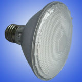 LED Bulb PAR30