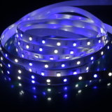 RGBW Color SMD5050 LED Strip Lights