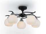 Ouropen 5 Glass Chandelier (dl-a-A805-5)