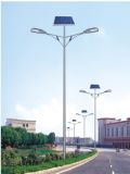Hot Sale Energy-Saving LED Solar Light (SYT-3002)