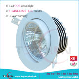 4 Inch 20W LED Down Light with Radiation-Proof (TPG-D406-W20S4)