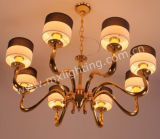 2013 Mingxing Style Fashionable Modern Chandelier (MD0180005-8)