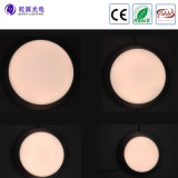 Hight Quality LED Ceiling Light with LED Wall Light