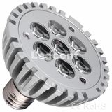 5W~18W LED PAR Light (PAR38/PAR30) Wiht Bridgelux Chip