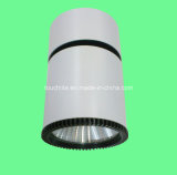 Adjustable and Rotatable LED Ceiling Mounted Light