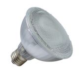 PAR Reflector Bulb Lamp (CFLR02-PAR30)