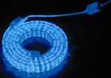 Outdoor SMD 5050 LED Strip Light (7.2W/m)