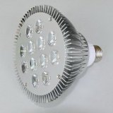 LED Spotlight with Dimmable PAR38