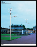 Street Light Wind Solar Hybrid Street Light
