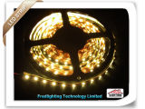 SMD LED Lights/LED Strip Lighting (FD-LR3528XN60T)