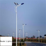 12m 120W LED LED Solar Street Light Factory Price