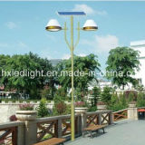 Good Quality Solar LED Garden Light (HXSH0208)