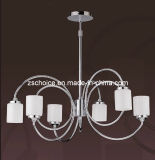 Unique Modern Pendant Lamp Chandelier (f64116)