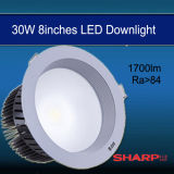 Ultra Bright 30W 8 Inch LED Downlight IP44 (D1A26WY)