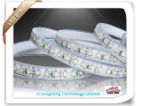 Hot Sale IP68 60LEDs/Meter 4.8W/Meter 12VDC LED Strip Light with CE and RoHS Approved
