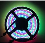 High Lumen 5050 SMD IP65 Wateproof Changeable Color Ws2801 LED Strip Light