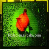 HD Full Color P5 Indoor Advertising LED Display for Advertising