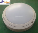Aluminum18W LED Wall Light in IP65 for Outdoor Use