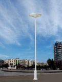 Solar Square Light for Plaza Lighting