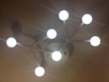 Indoor LED Wall Light and Chandelier