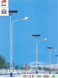 Wbr109 30W Single Lamp Solar LED Sodium Street Light