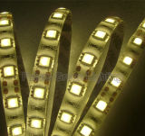 5050 Series LED Strip Light
