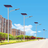 6m 30W LED Solar Street Light (JS-A20156130)