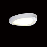 Decorative LED Ceiling Light (HS31049X)